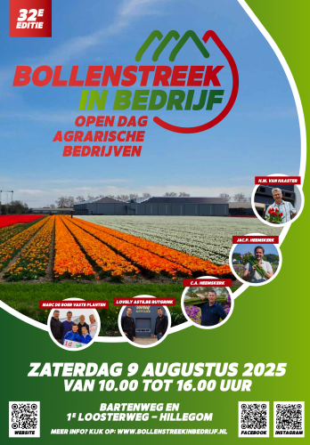 Bollenstreek In Bedrijf