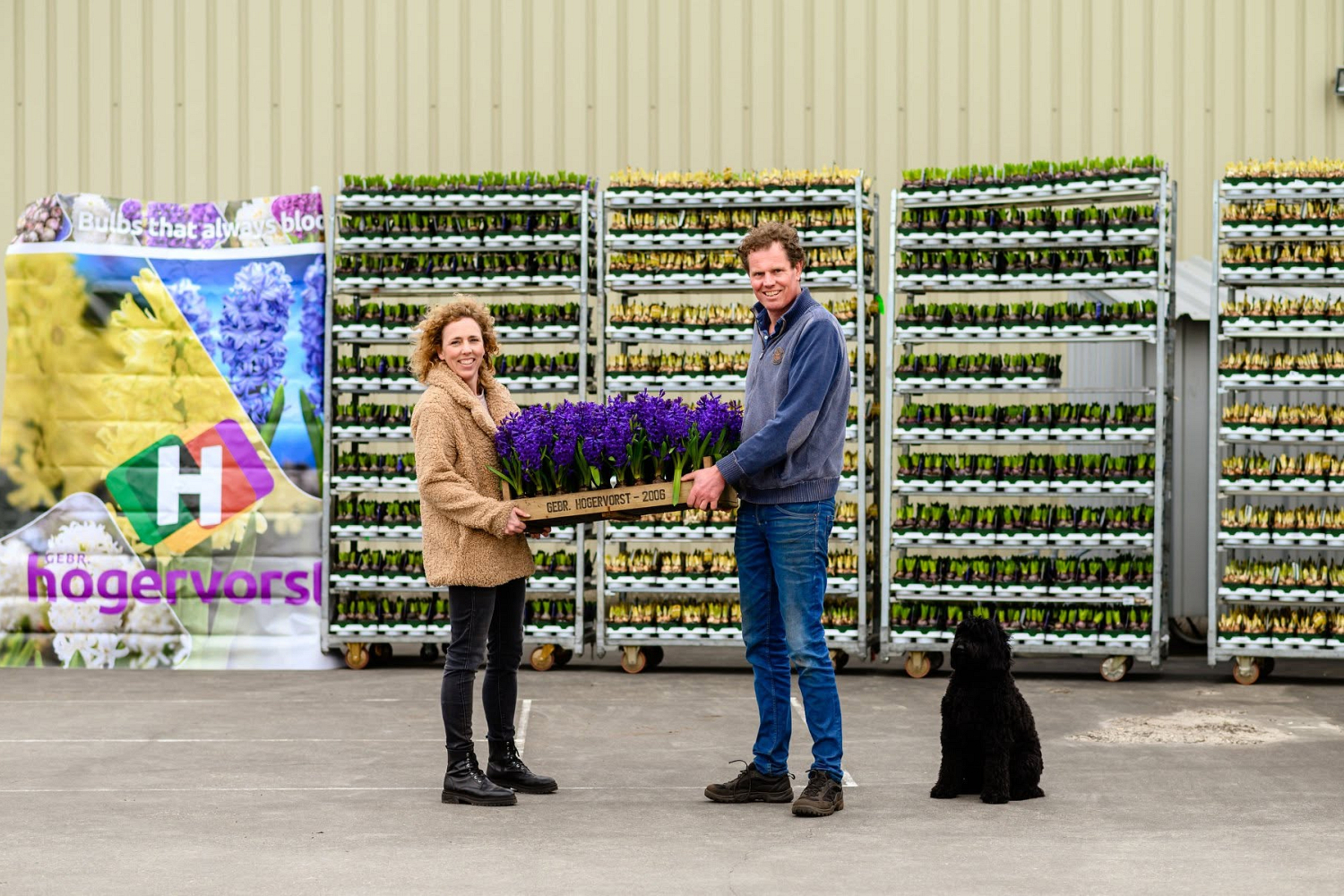 Bollenstreek In Bedrijf