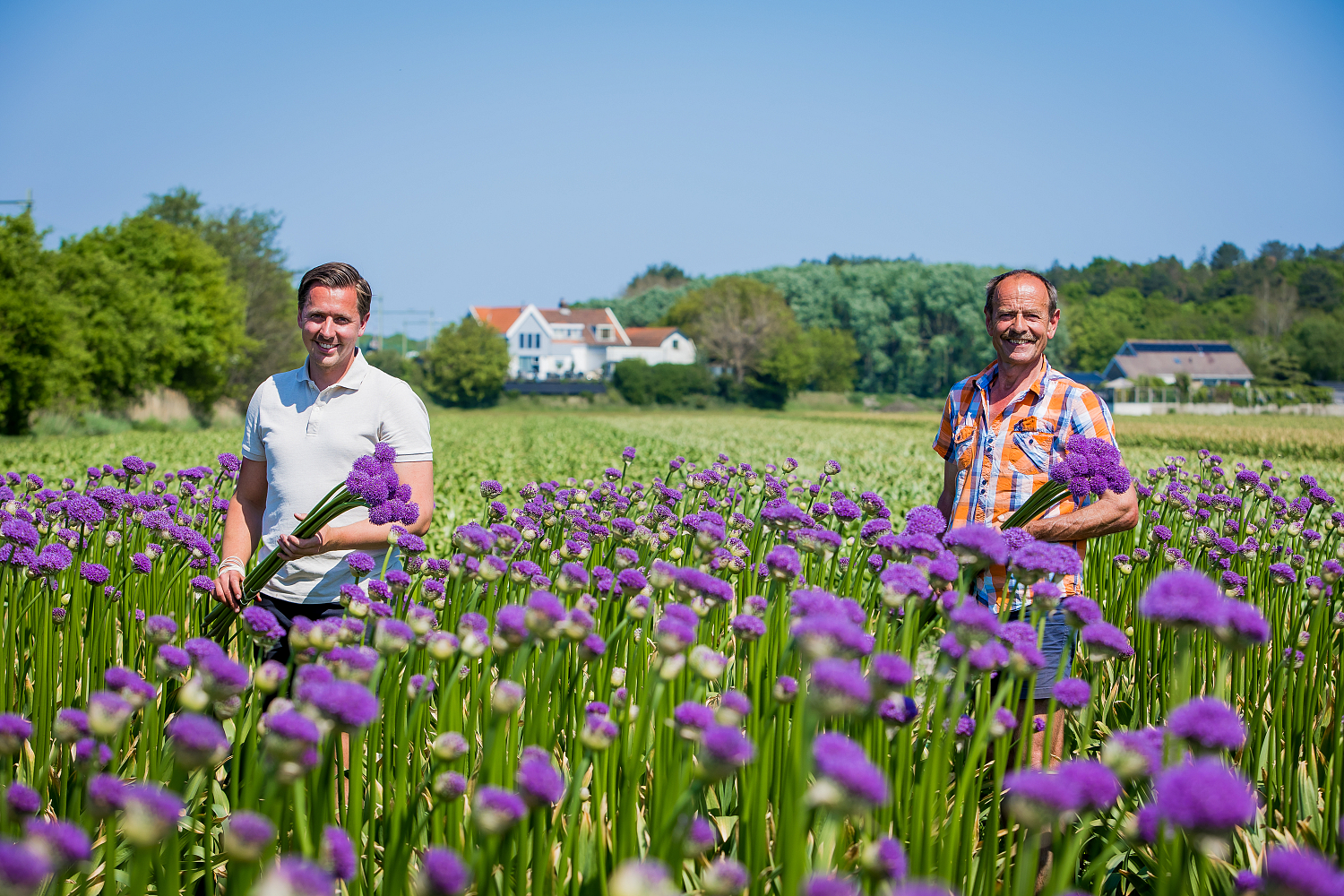 Bollenstreek In Bedrijf