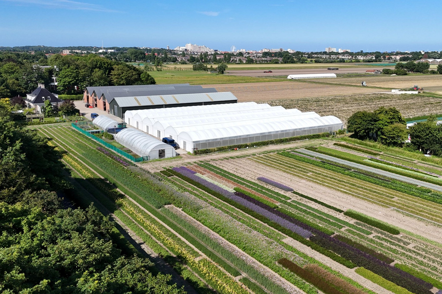 Bollenstreek In Bedrijf