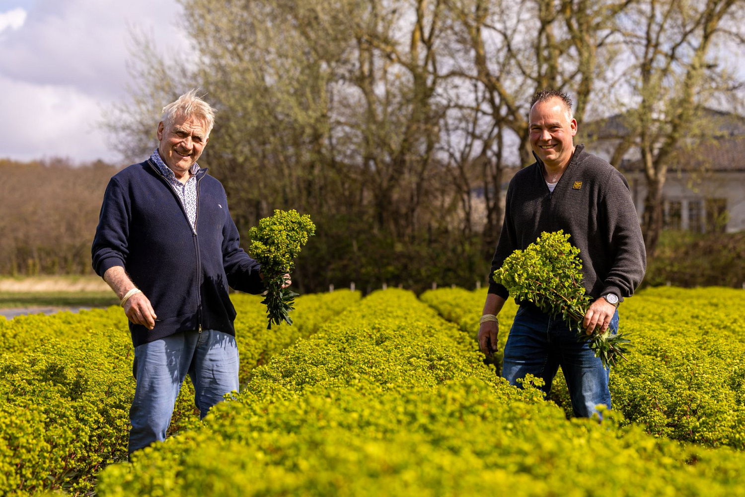 Bollenstreek In Bedrijf