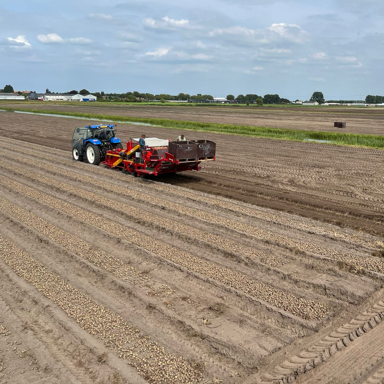 Bollenstreek In Bedrijf