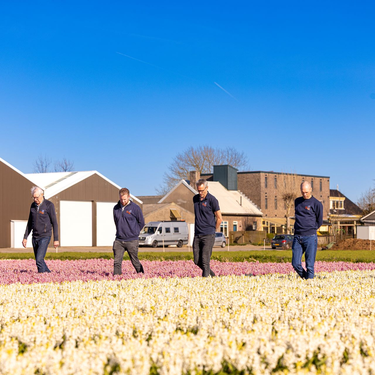 Bollenstreek In Bedrijf