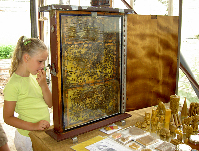 Bollenstreek In Bedrijf