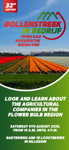 Bollenstreek In Bedrijf