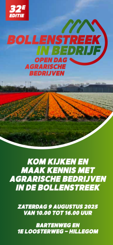 Bollenstreek In Bedrijf