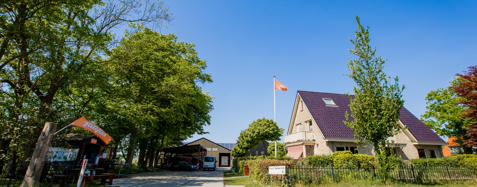 Bollenstreek In Bedrijf